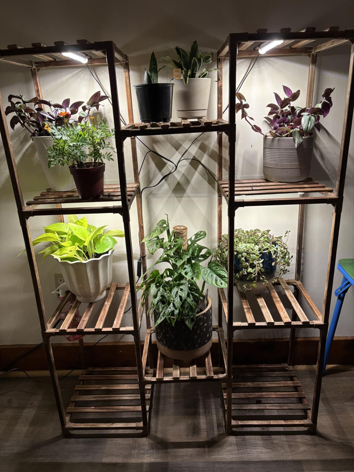Bamworld Plant Stand with Grow Light Plant Shelf for Mutiple Pots Large Plant Holder for Living Room Patio Boho Home Decor for Gardening Warm Light customer photo 1