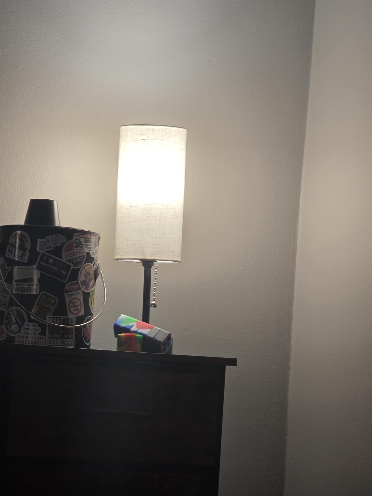 Bedside Table Lamp for Bedroom,Small Lamps for Night stands with Pull Chain customer photo 2