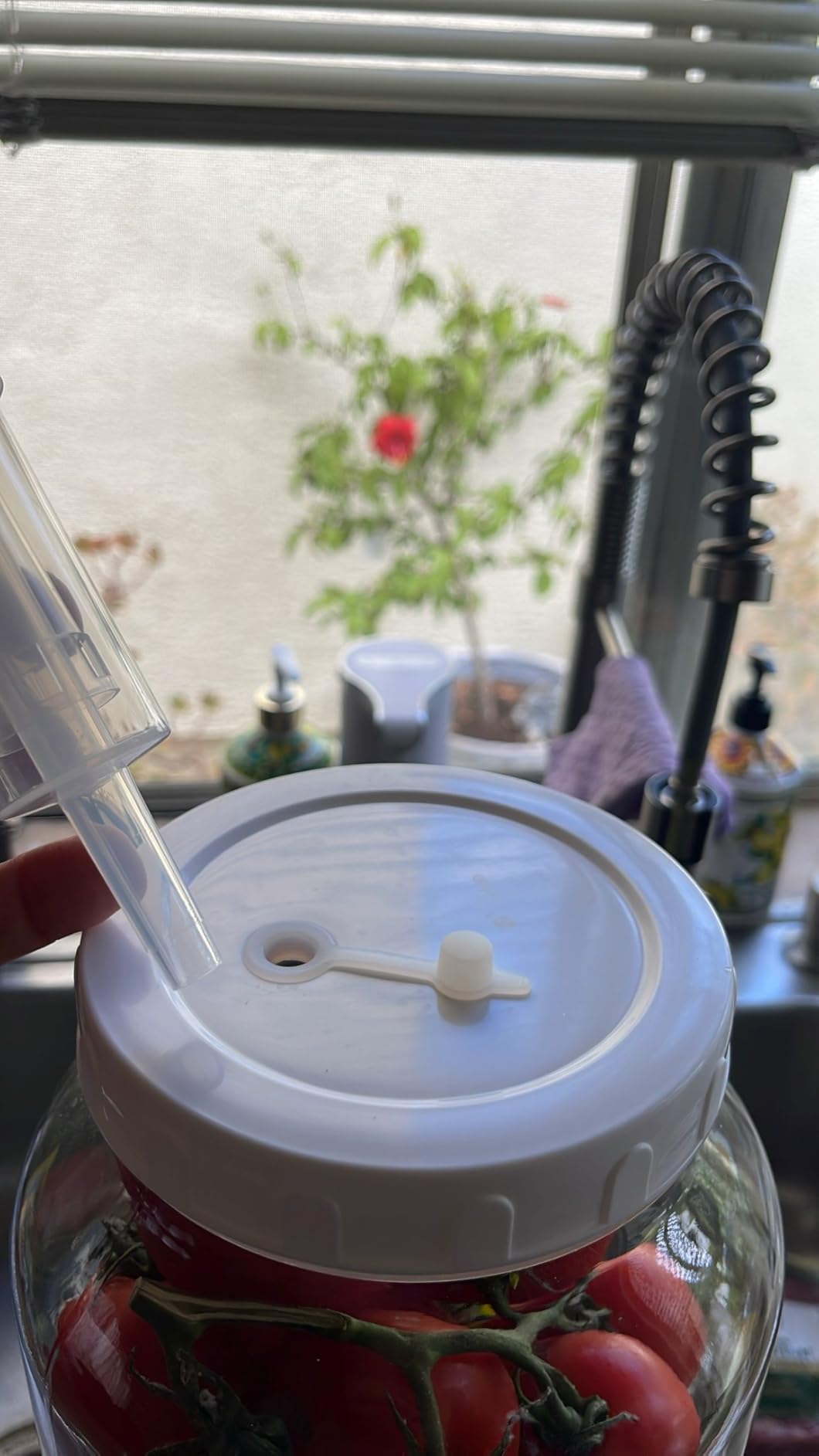 2 Gallon Large Fermentation Jar, Wine Making Kit for Beer Cider Kombucha customer photo 1