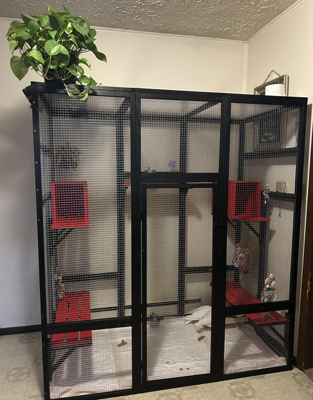 NYEEKOY 71in Catio, Indoor & Outdoor Cat Enclosure Waterproof Roof & Perch customer photo 2