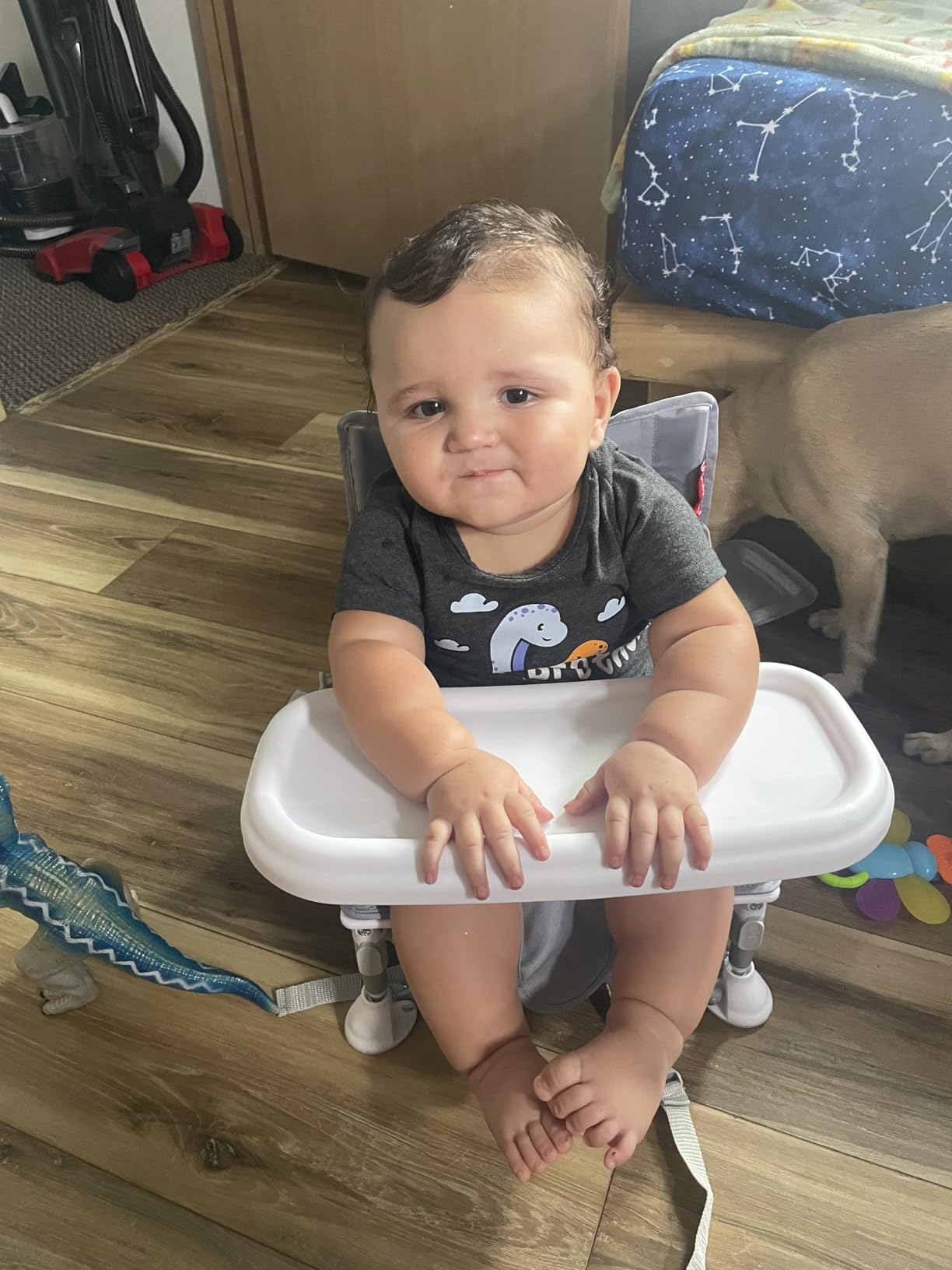 Tiny Marvels Baby Chair, Portable High Chair for Travel & Beach, Ages 6M-3Y customer photo 1