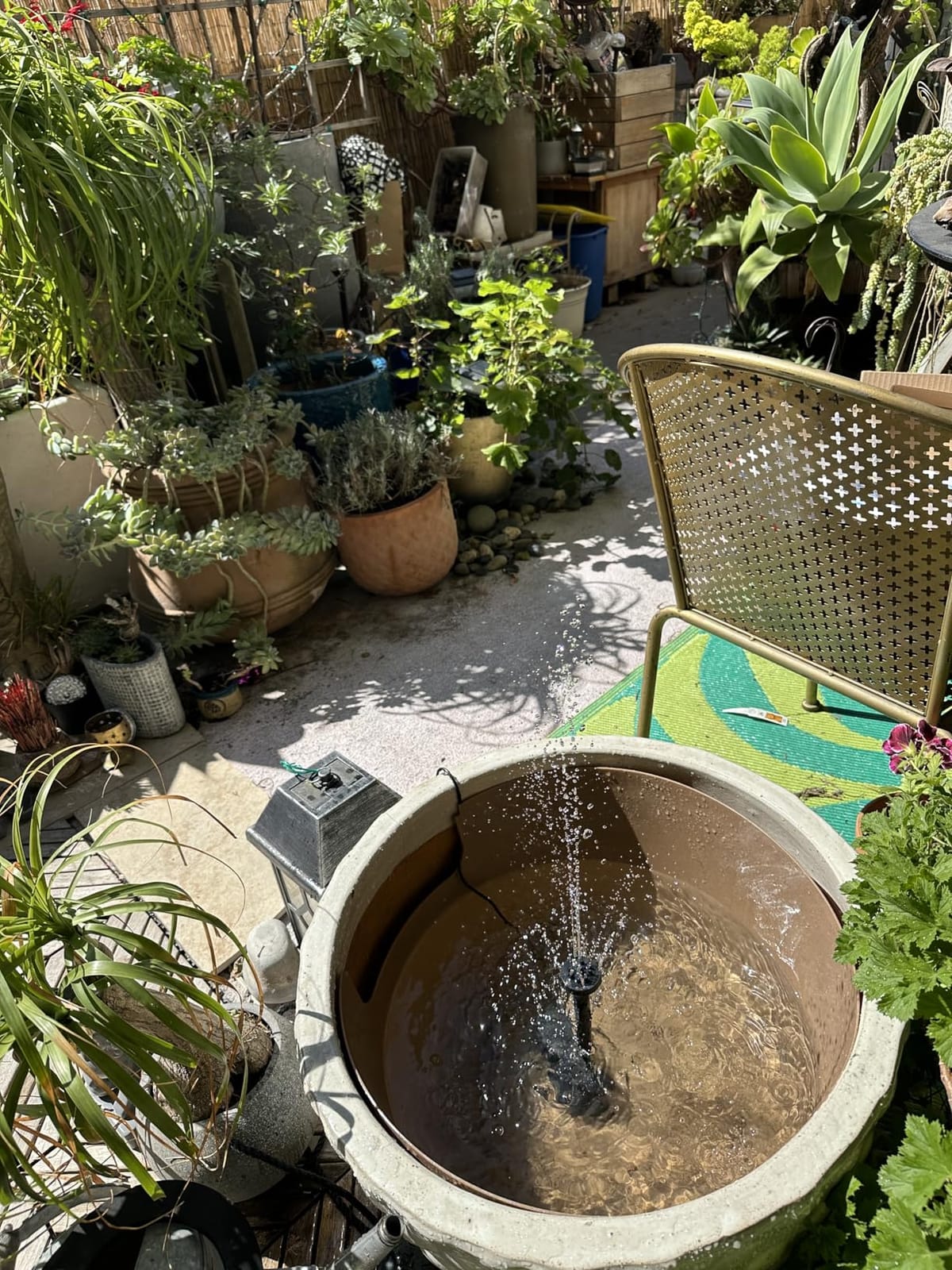 Biling 12W Solar Pond Pump Dry-Run Protection Quiet Fountain Pump Bird Bath customer photo 2
