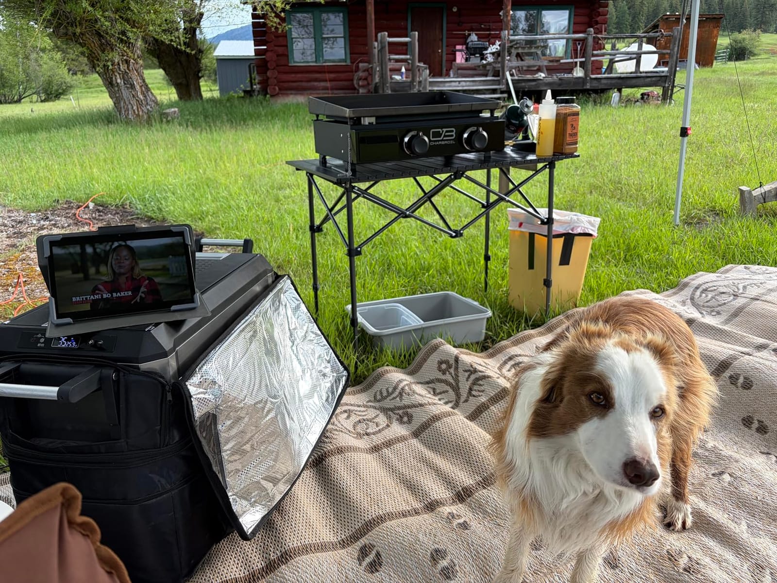 Byliable Folding Camping Table, Portable Aluminum Adjustable Height, Black customer photo 1