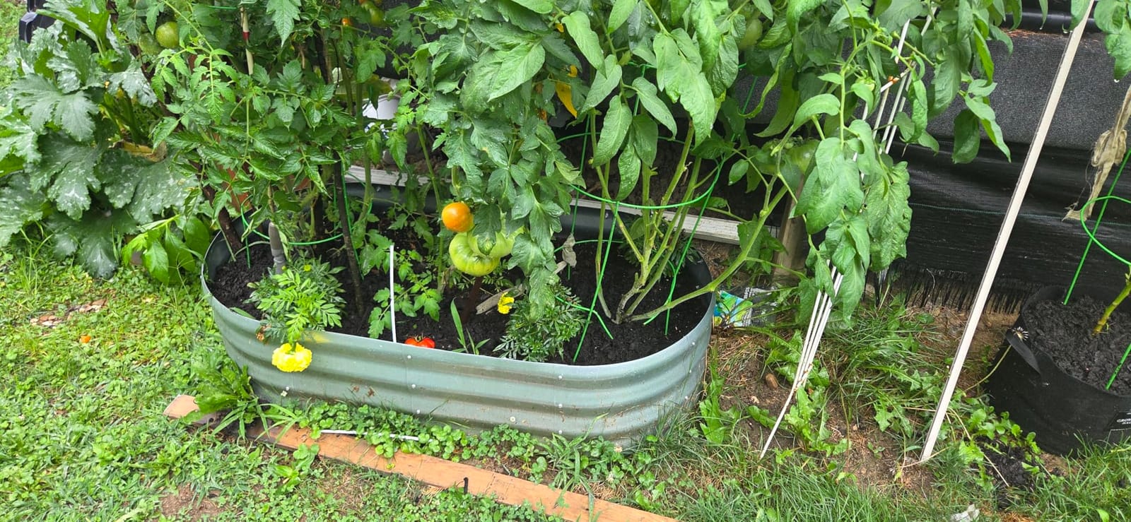 Amazon Basics Raised Garden Bed, Galvanized Steel, 48 x 24 x 12 inches, Silver customer photo 1
