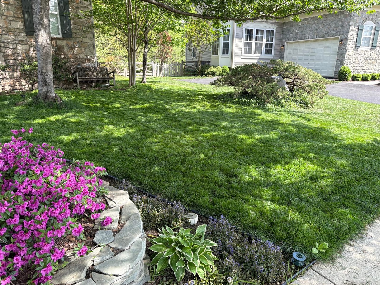 SKIL PWR CORE 40 Brushless 40V 20-Inch Push Mower Kit, Includes 6.0Ah Battery and 150W Charger - PM4910-15 customer photo 1