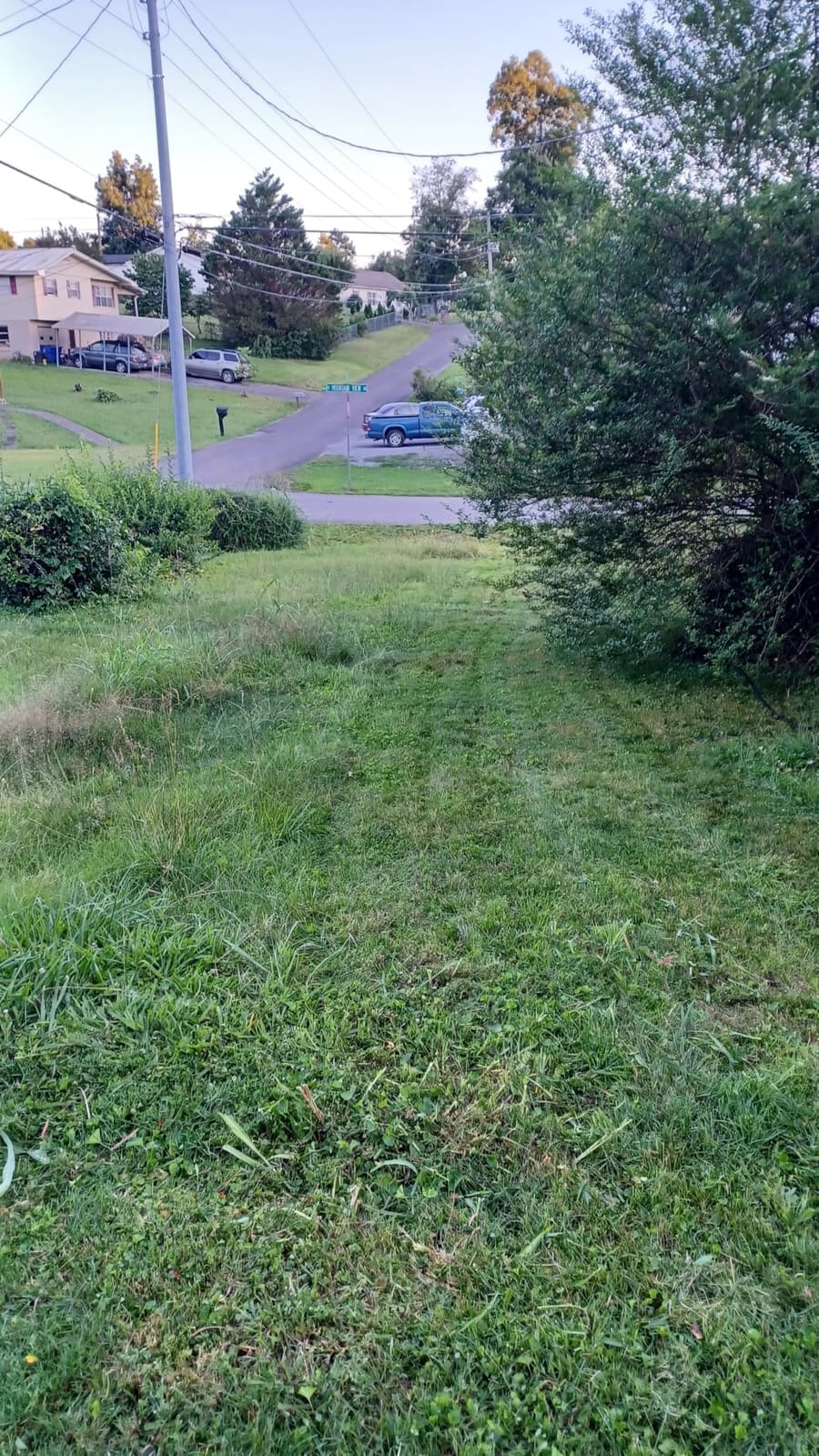 SKIL PWR CORE 40 Brushless 40V 20-Inch Push Mower Kit, Includes 6.0Ah Battery and 150W Charger - PM4910-15 customer photo 2