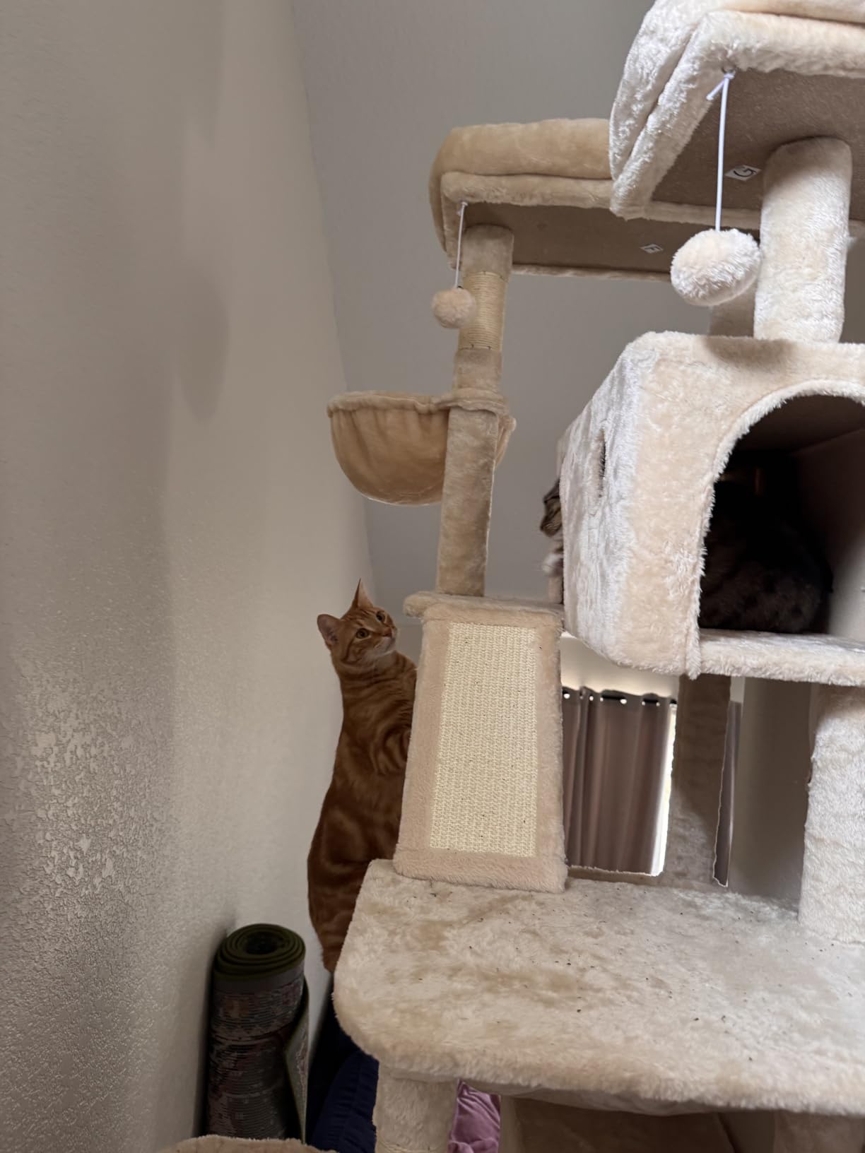 SHA CERLIN 81in Multi-Level Tall Cat Tree Tower for Indoor Kitties/Larger Cat Condo Furniture with Hammock/Cozy Pussycat Perches/Sisal Scratching Posts/Pet House/Wide Base/Dark Grey customer photo 2