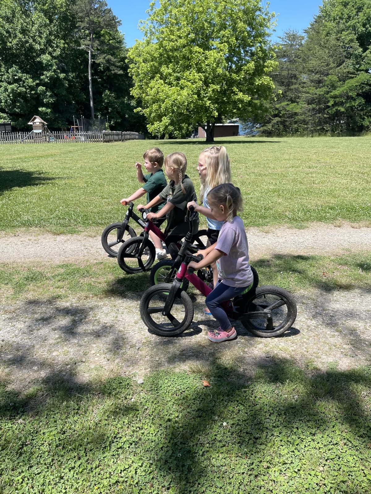 Ridego 14 Inch Balance Bike for Kids 3-6 Year Old,Lightweight Kids Bike with Adjustable Seat, Push Bicycle with Air Rubber Tires，Ride-on Toys Birthday Gift customer photo 1