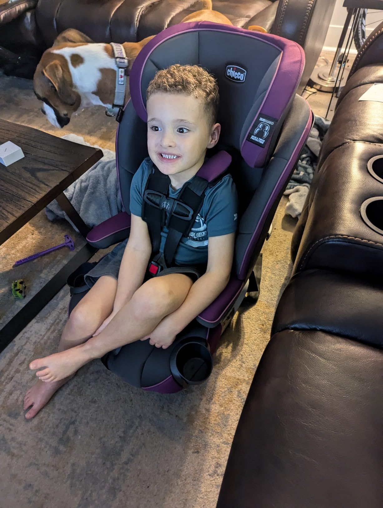 Chicco MyFit 2-in-1 Harness + High Back Booster Car Seat customer photo 1
