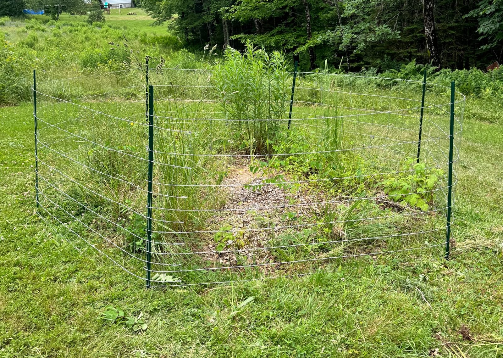 Farm Fence 6ft x 100ft Heavy Zinc Coating Field Wire Fencing, Galvanized Livestock Deer,Goat Fence,Hog Wire Fencing Used to Yard and Garden customer photo 1