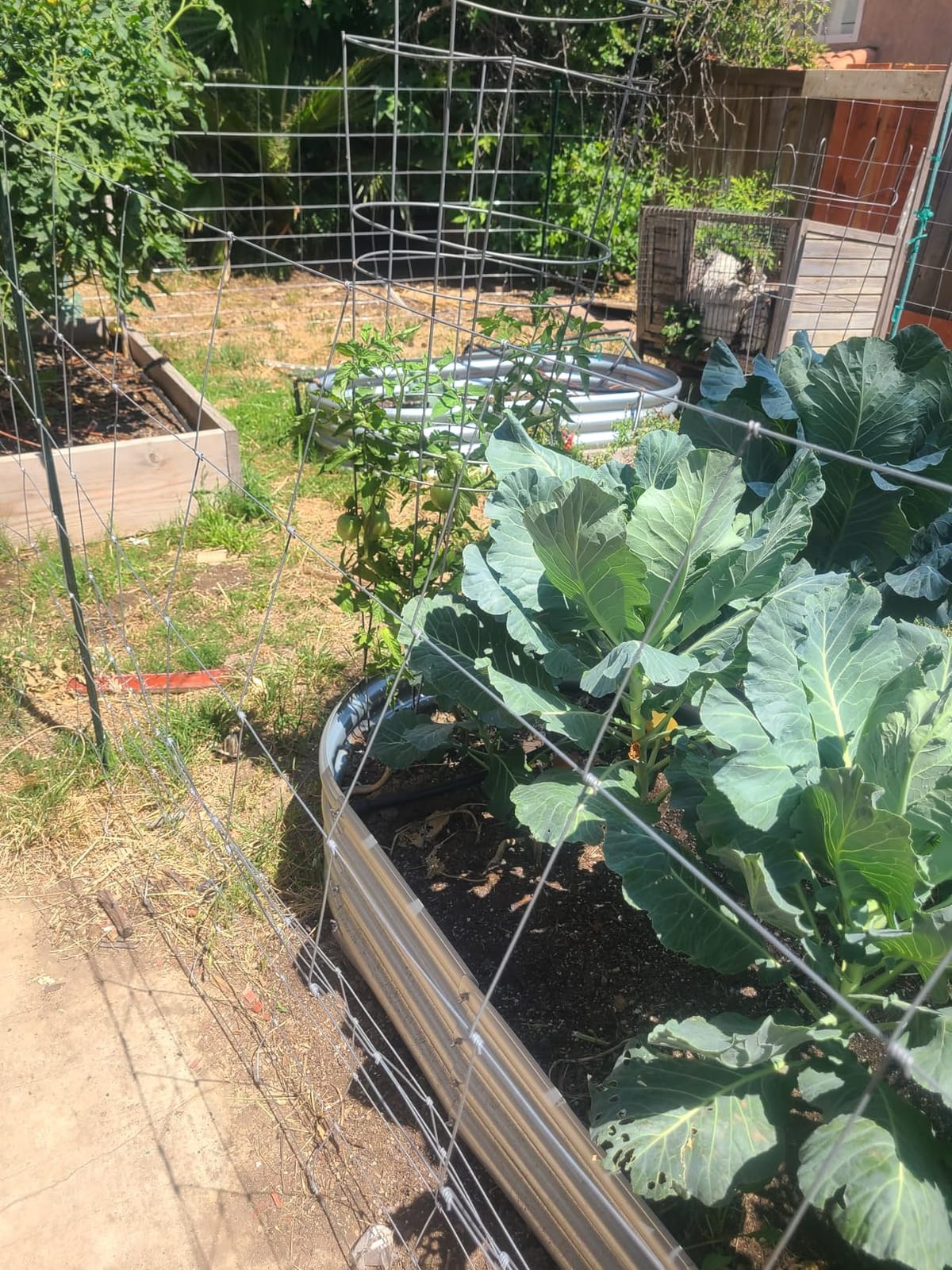 Farm Fence 6ft x 100ft Heavy Zinc Coating Field Wire Fencing, Galvanized Livestock Deer,Goat Fence,Hog Wire Fencing Used to Yard and Garden customer photo 2