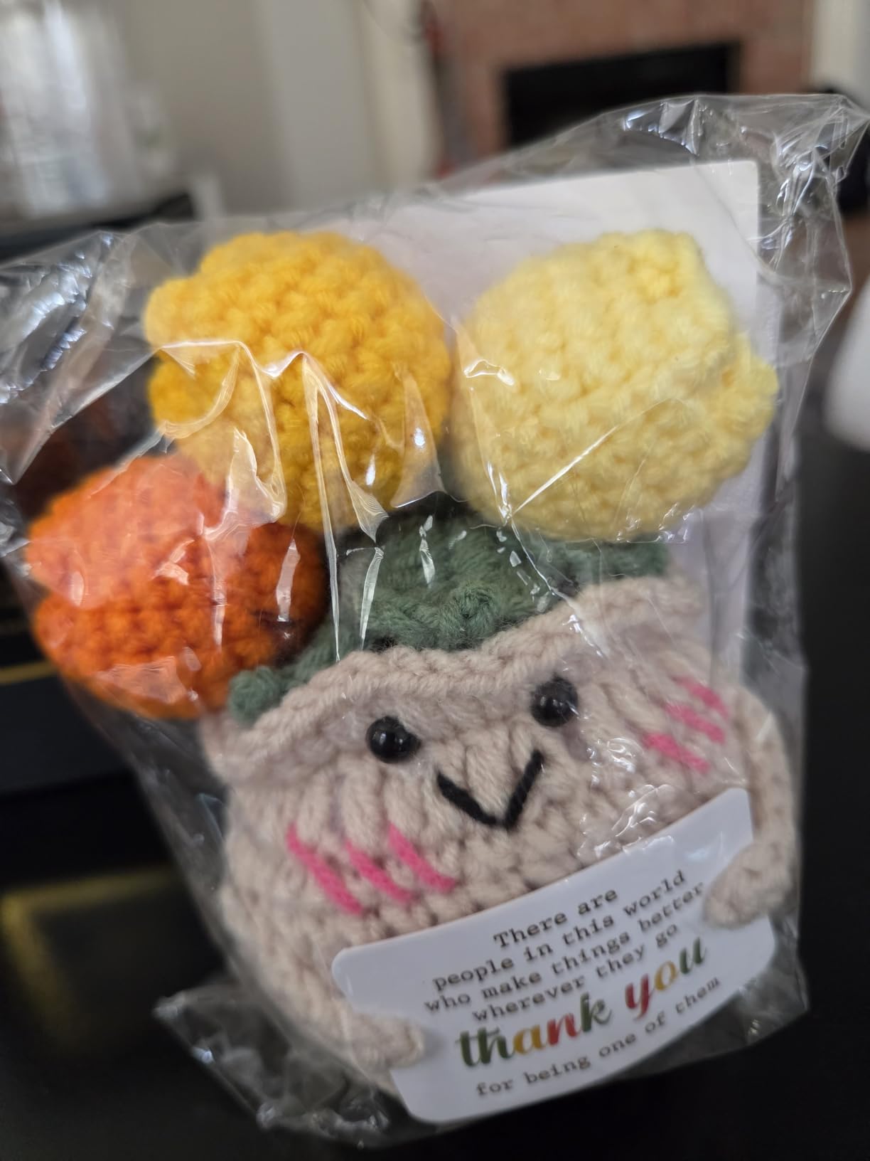 OASSIE Teacher Gifts for Women Men - Positive Crochet Tulip, Back to School customer photo 1
