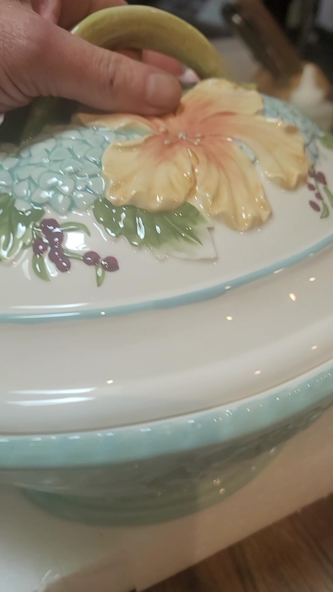 Fitz and Floyd Meadow Tureen Covered Serving Bowl with Ladle, 3.5 Quart customer photo 1