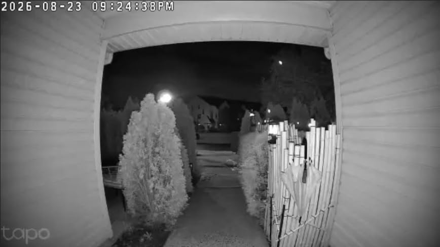 Tapo 2K Wireless Smart Video Doorbell, D205, 160° Ultra-Wide View | Person Detection, 2-Way Talk, Ring Call, Night Vision, Subscription-Free Local Storage or Optional Cloud customer photo 1