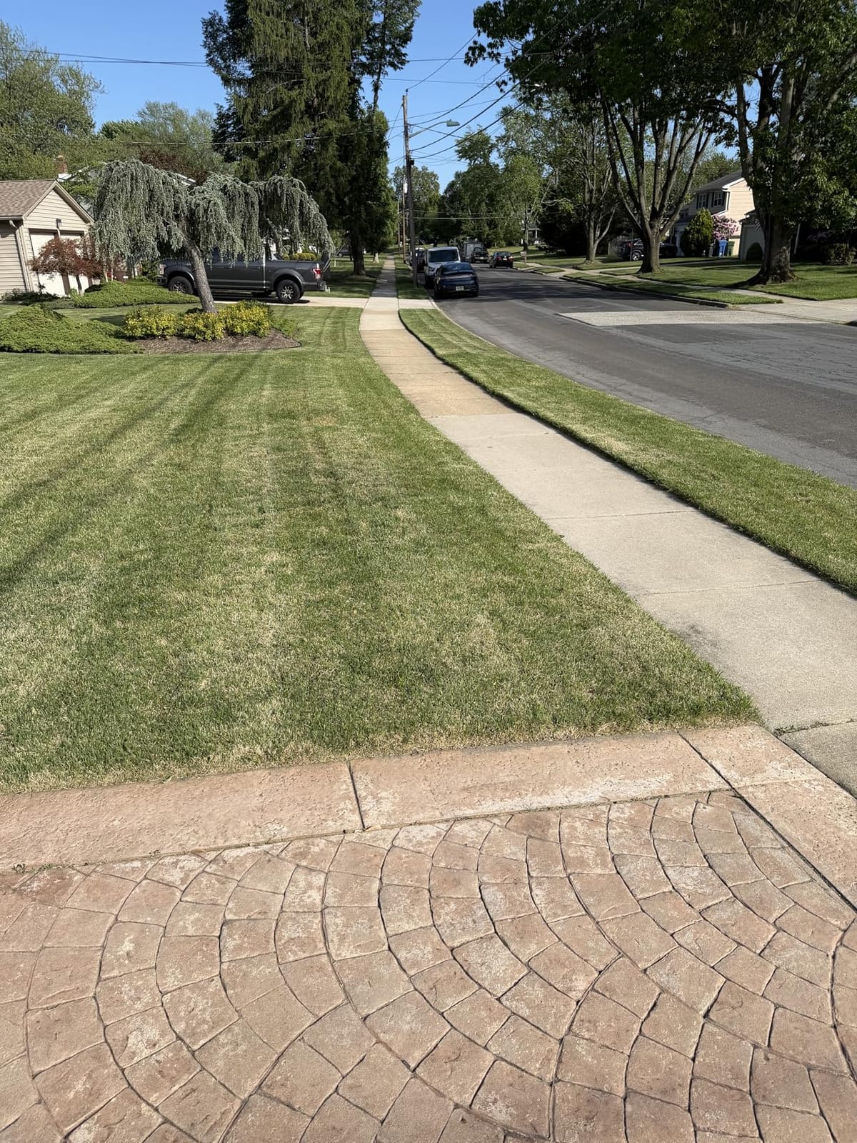 Sun Joe Corded Dethatcher & Scarifier with 13.2-Gal Bag, AJ808E customer photo 2