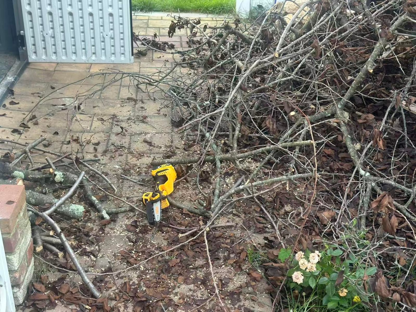 2-IN-1 Cordless 8-Inch Pole Saw & Chainsaw for DeWALT 20V MAX Battery - 1200W Brushless Motor, Total Reach of Max 15.9 FT, Lightweight, 8