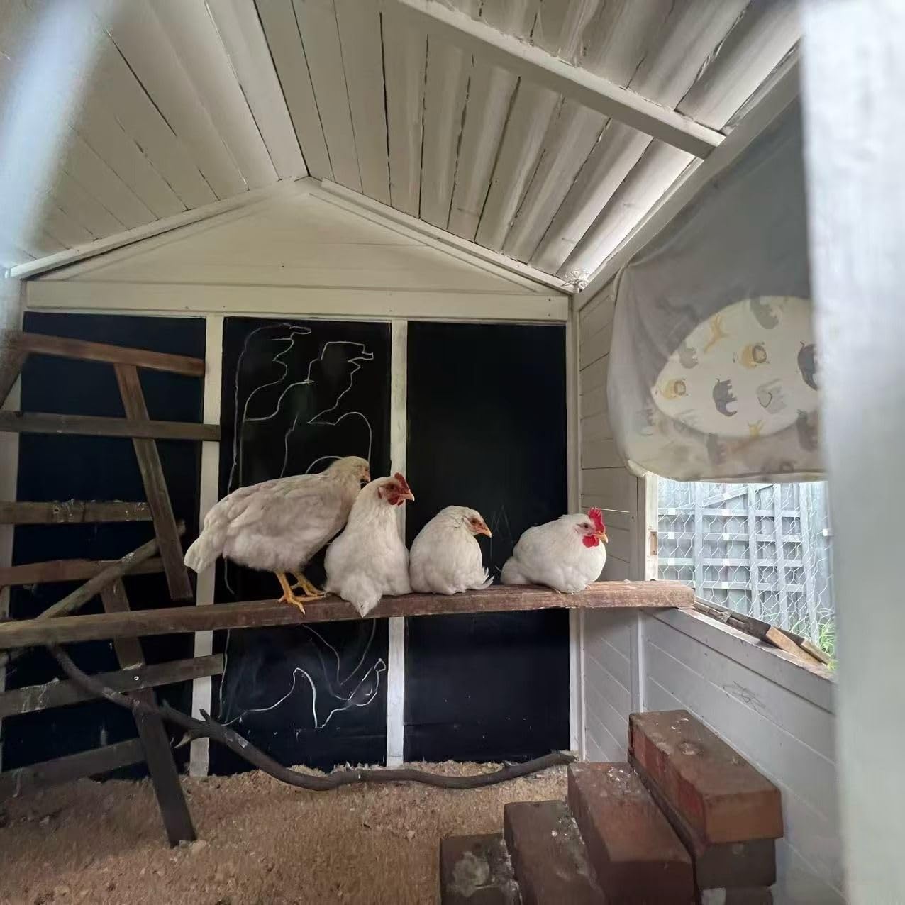 Smart Chicken Coop Heater, 200W Radiant Heat Panel, Adjustable Temp & Timer customer photo 1