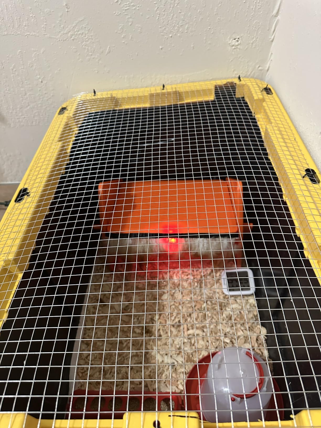 Chick Brooder Heater Plate for Baby Chicks, Ducklings & Poultry customer photo 2