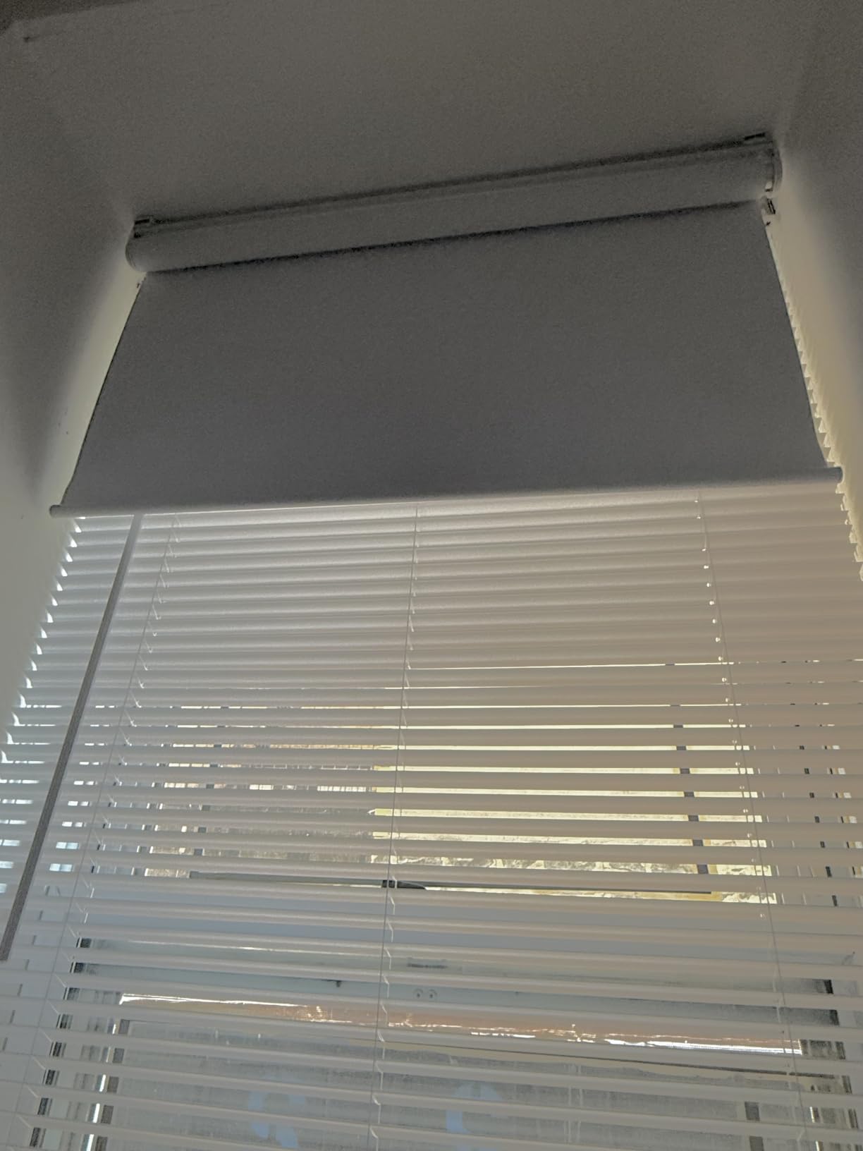Changshade Blackout Roller Shades Cordless for Windows,100% Room Darkening Window Blinds for Bedroom,Thermal Insulated UV Protection,Easy Install Pull Down Shades for Home,24