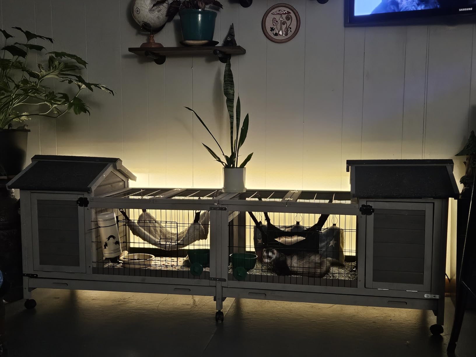 Aivituvin Rabbit Hutch Indoor Bunny Cage Outdoor Bunny House with Wire Floor Leakproof Plastic Tray, Brown customer photo 2