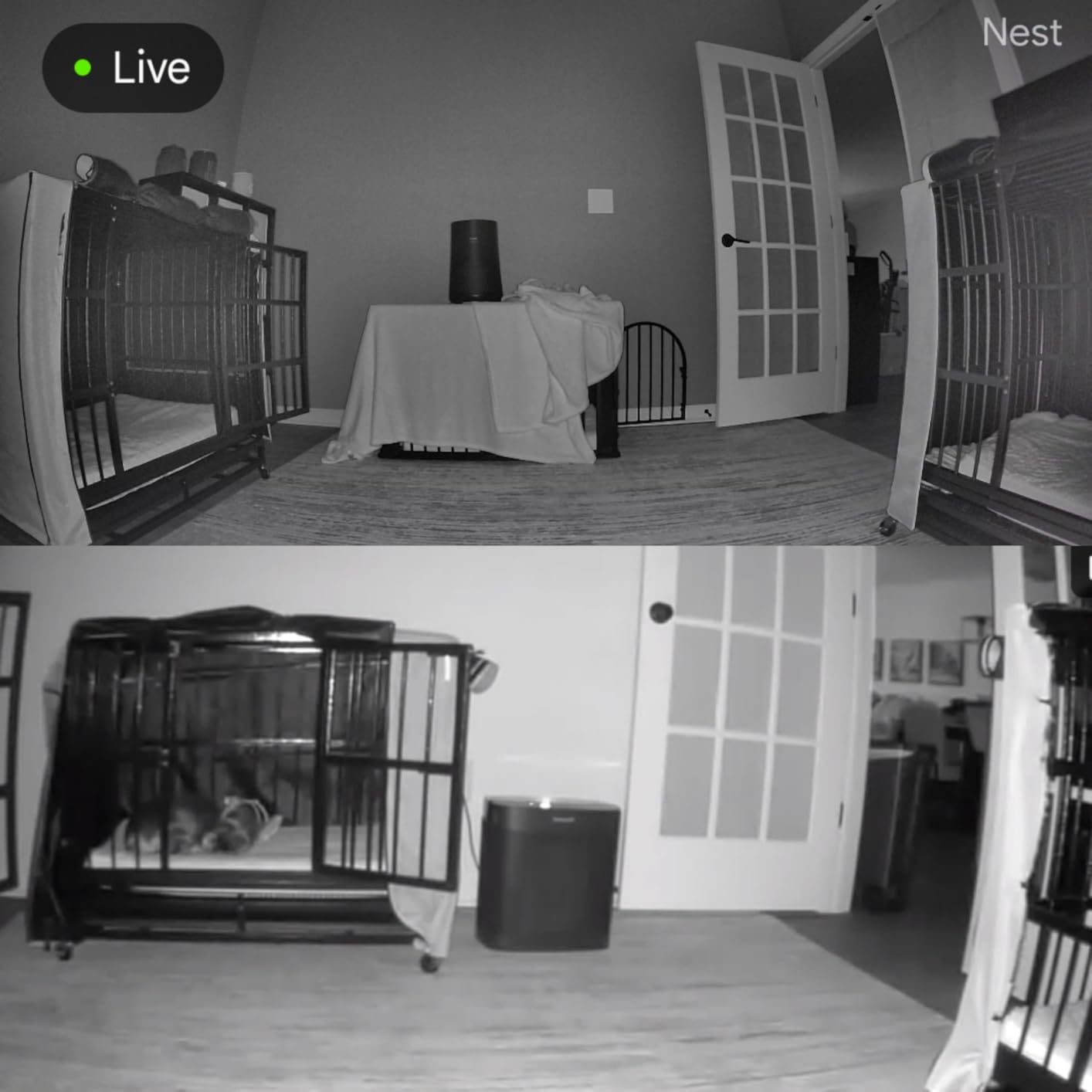 Google Nest Cam Indoor (Wired, 3rd Gen) - Security Camera - 2025 - Hazel customer photo 2
