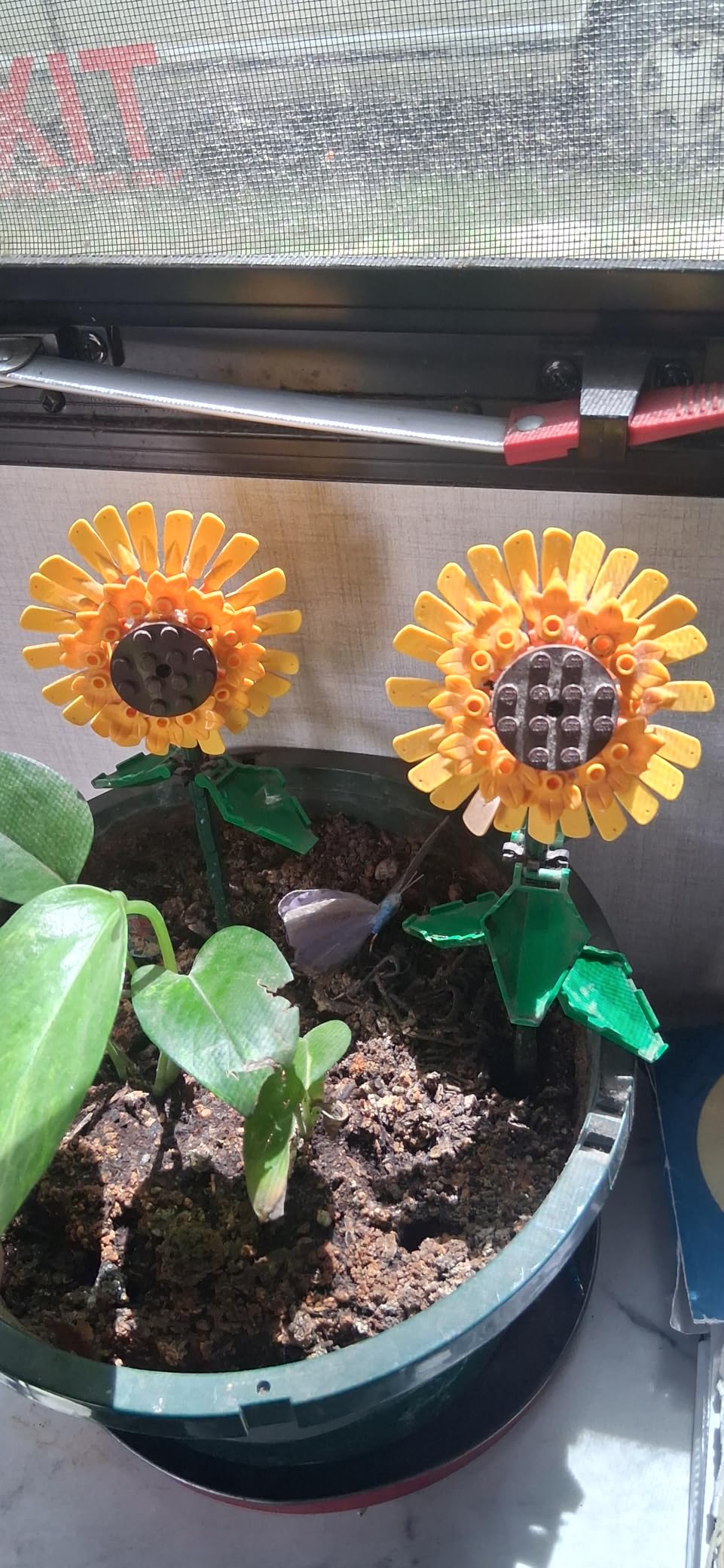 LEGO Sunflowers 40524 customer photo 1