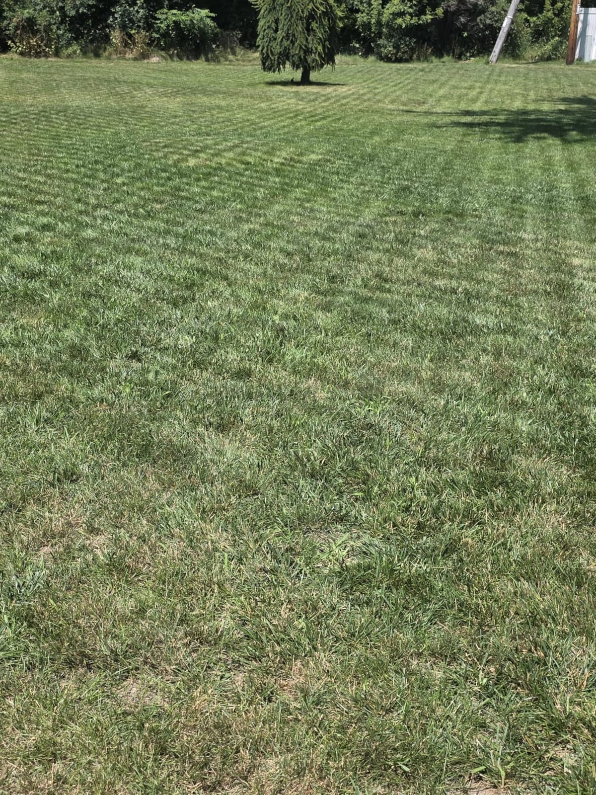 Sunseeker X5 AWD Robot Lawn Mower, RTK, Vision AI, 0.5 Acre, Wire-Free customer photo 1