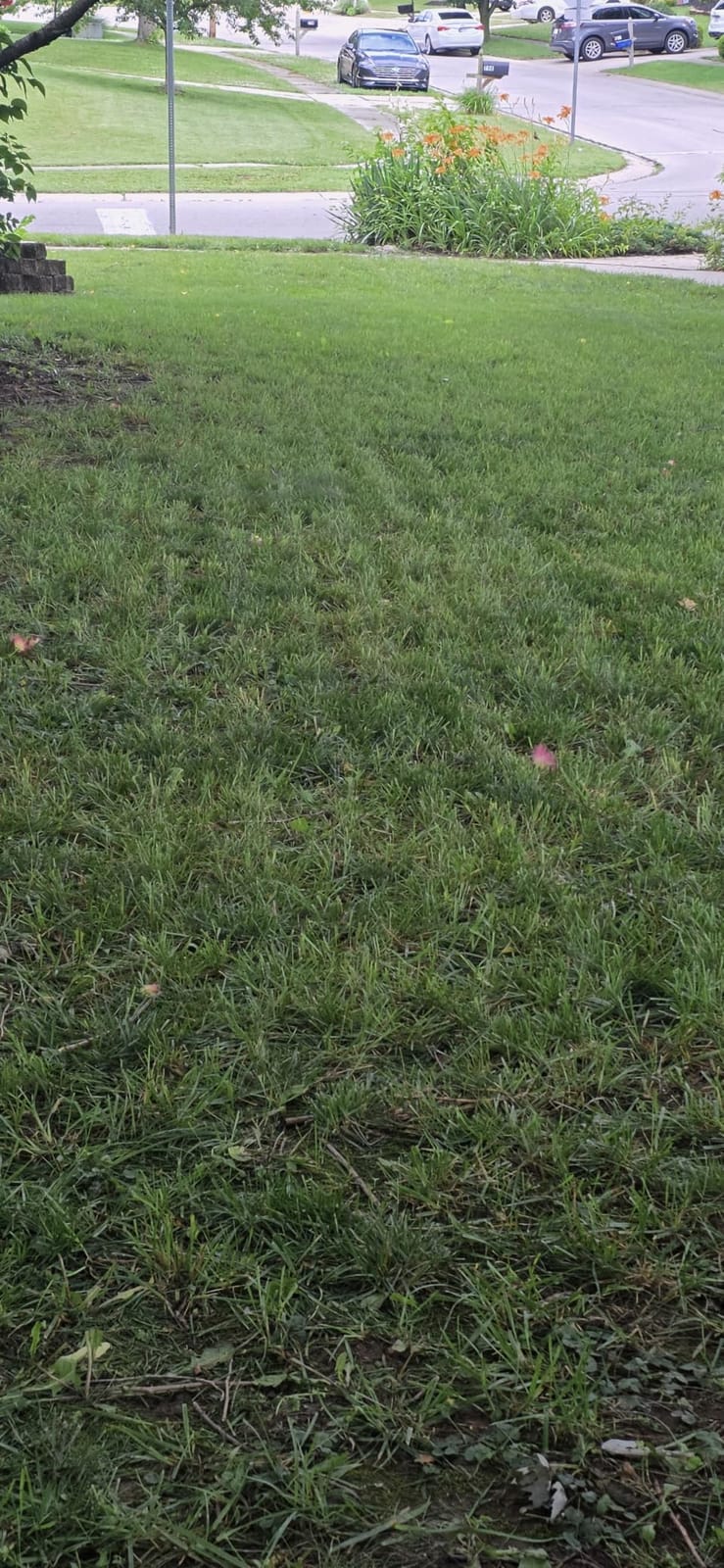 Sunseeker X5 AWD Robot Lawn Mower, RTK, Vision AI, 0.5 Acre, Wire-Free customer photo 2
