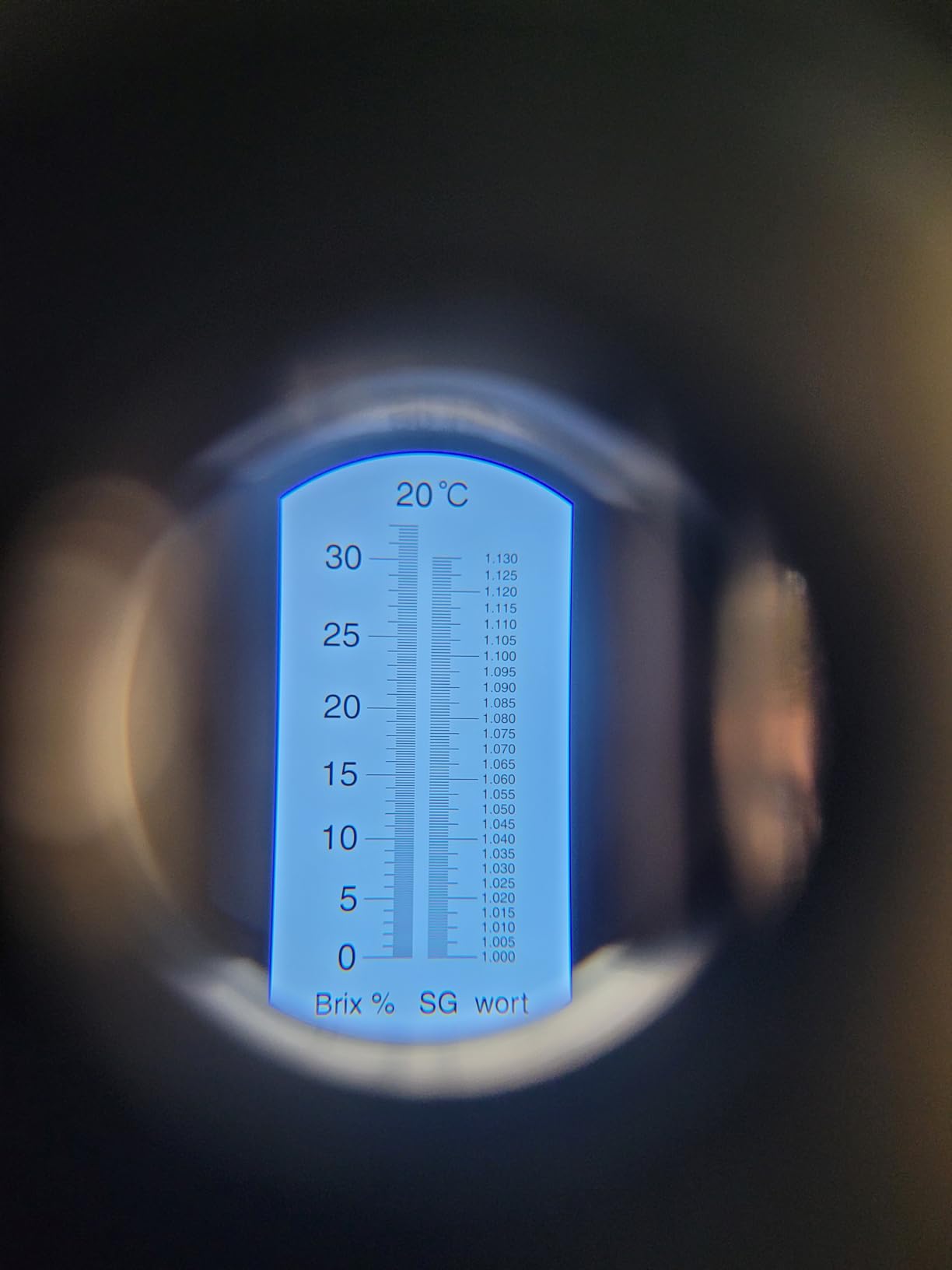 GYE Brix Refractometer with ATC, Dual Scale Hydrometer for Wine & Beer customer photo 1