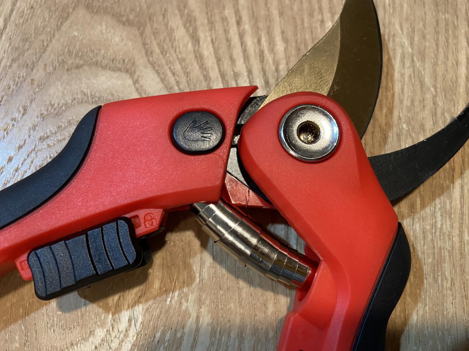 FLORA GUARD Heavy Duty Ratchet Pruning Shears, SK5 Steel Garden Clippers customer photo 2