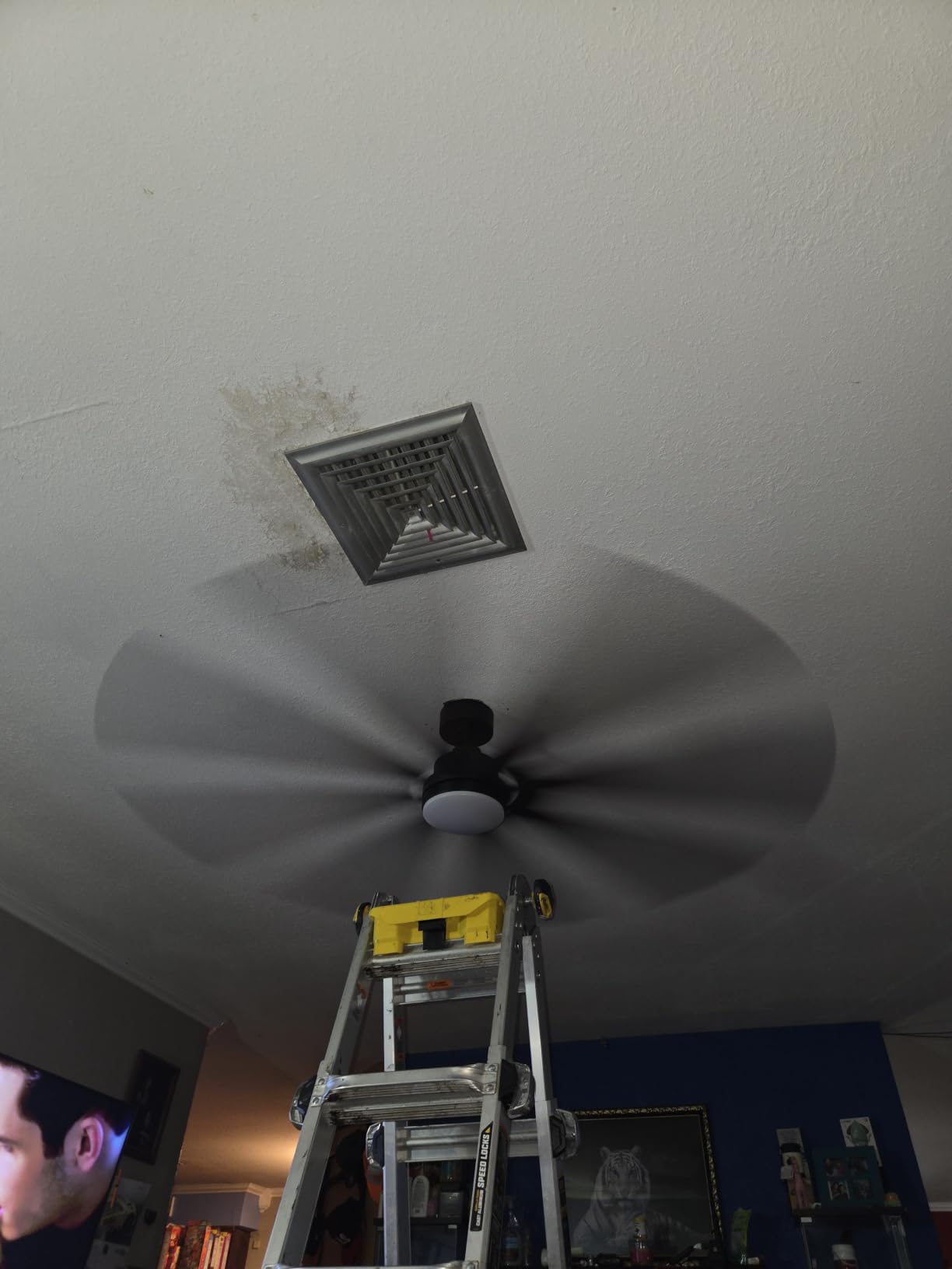 Fanbulous 72 Inch Ceiling Fans with Lights DC Motor, Remote & APP Control | Damp Rated, Dimmable, 3CCT, Memory Function, Dual-Sided Reversible Blades, Flat/Sloped Ceiling, Living Room, Covered Patio customer photo 2