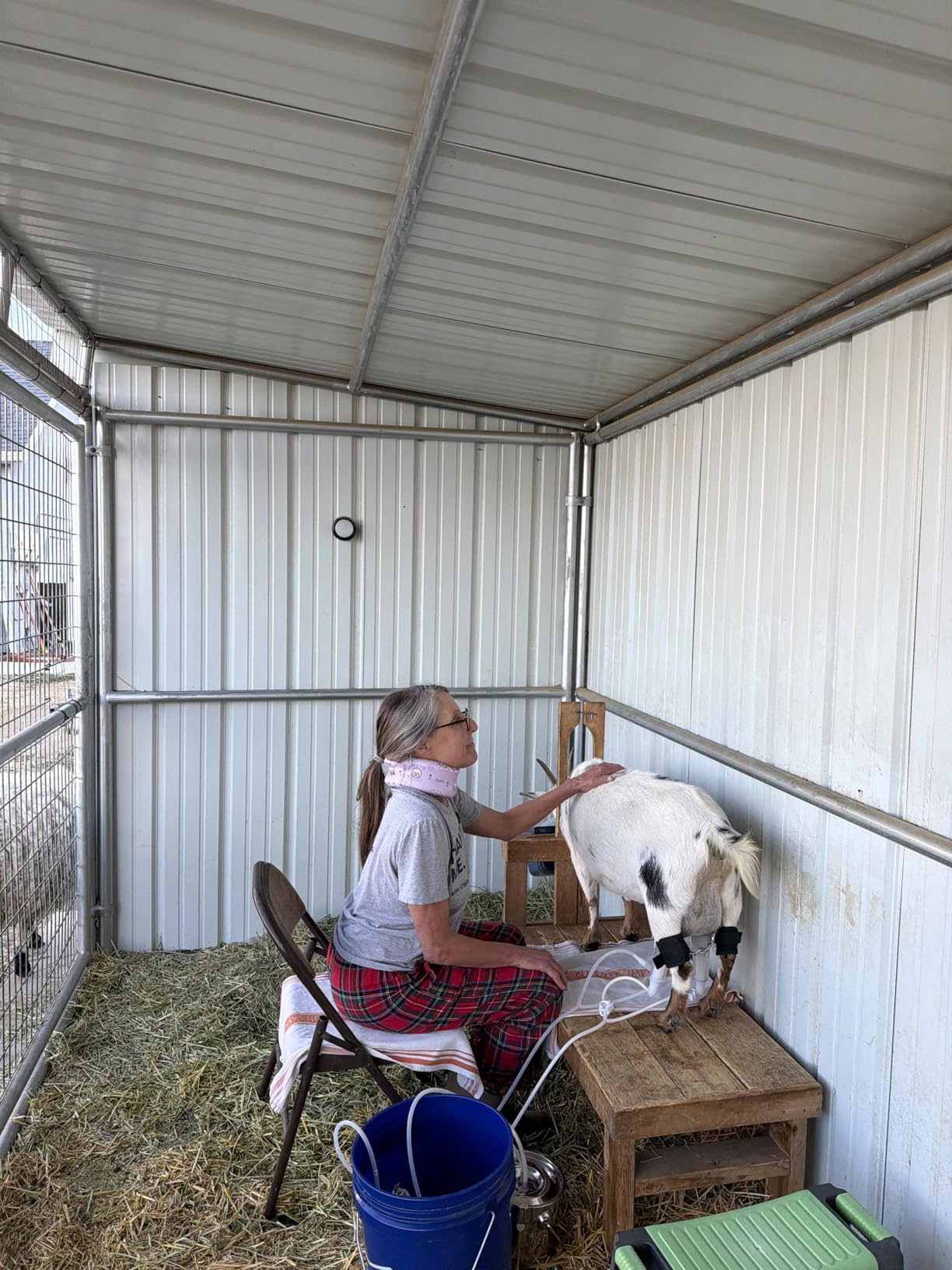 3L Goat Milking Machine, Battery Rechargeable Portable Milker, 304 Food Bucket customer photo 1