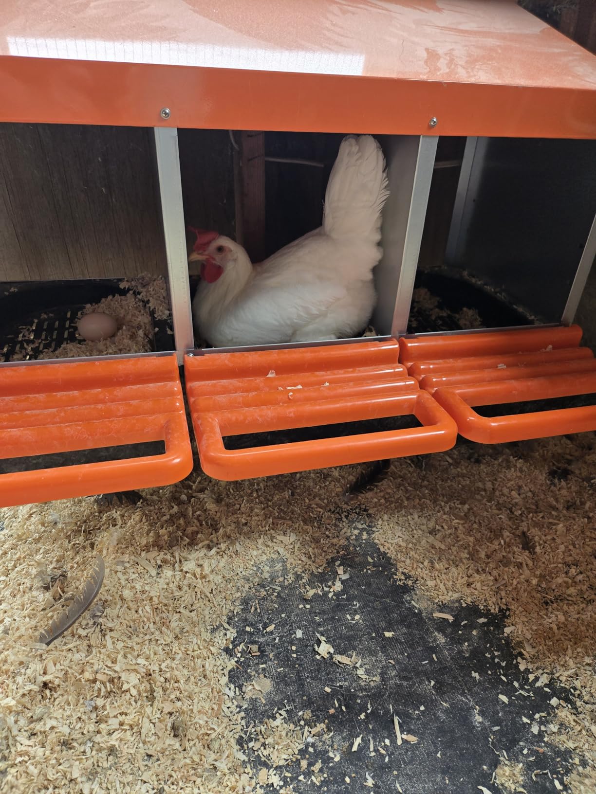 ZenxyHoC Two-Tier Chicken Nesting Box Red 6 Compartments customer photo 1