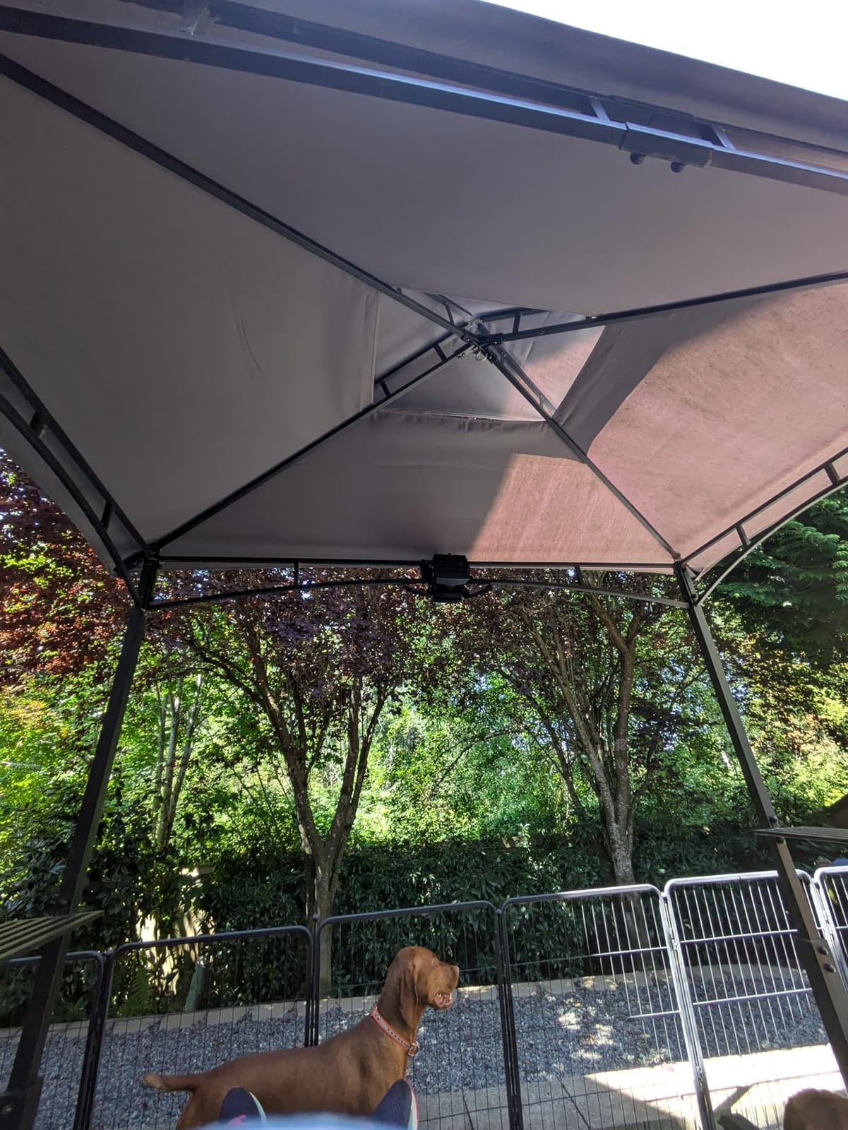 ABCCANOPY 8x5 Grill Gazebo BBQ Shelter with 2 LED Lights, Deep Gray customer photo 1