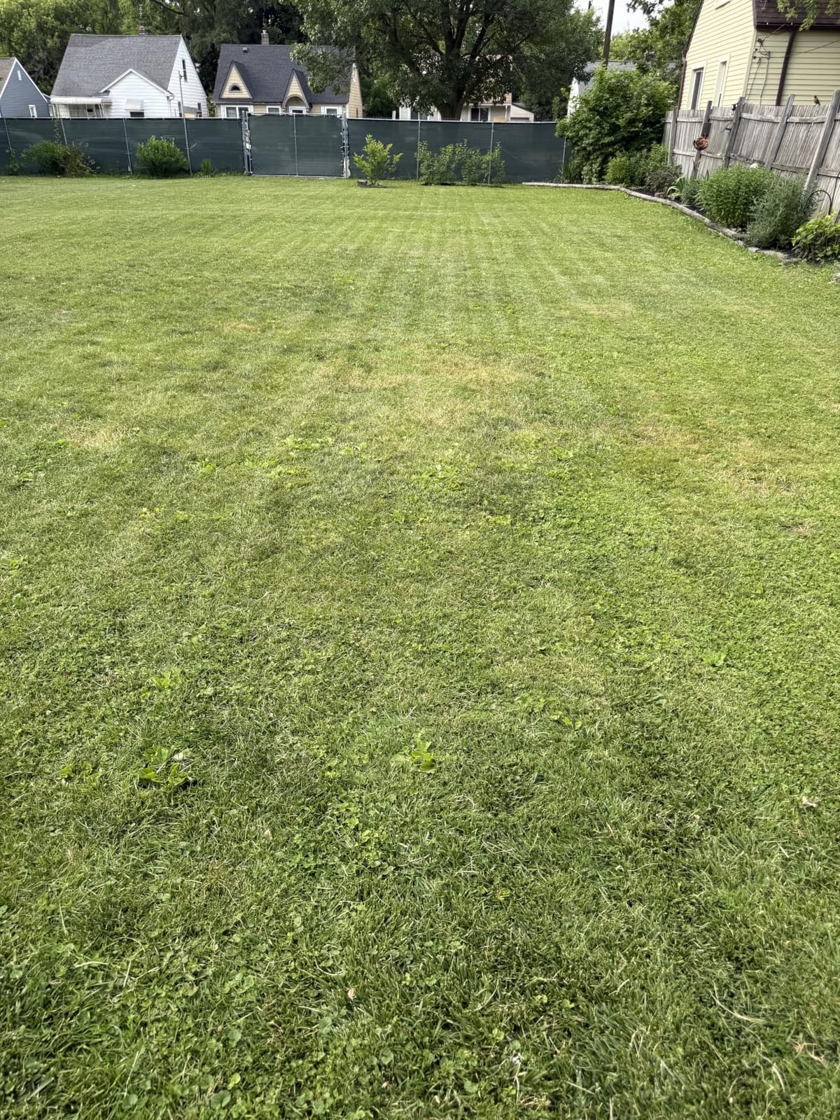ECOVACS Goat A3000 LiDAR PRO Robotic Lawn Mower, Dual LiDAR Navigation customer photo 1