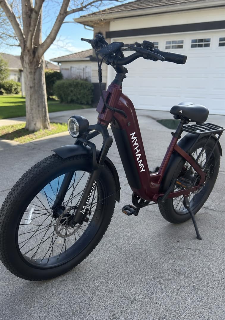 2000W Electric Bike 24 Fat Tire for Adults Teens - 48V 18Ah (130KM Max), All-Terrain Ebike 11