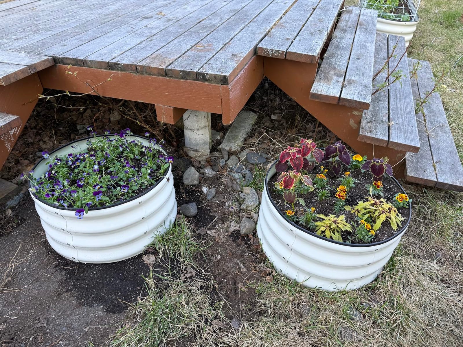 COMHOMA 2 Pack Galvanized Raised Garden Bed,6x3x2ft Large Metal Planter Box for Outdoor Vegetables,Corrugated Steel Herbed Plants Container,Extra Deep Gardeners Kits with Open Bottom customer photo 2