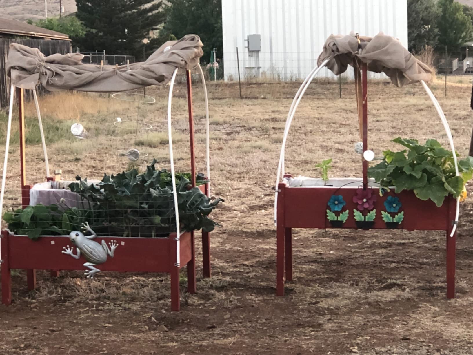 AMERLIFE Raised Garden Bed, 48x30x24 Inches Elevated Wood Planter Box customer photo 2