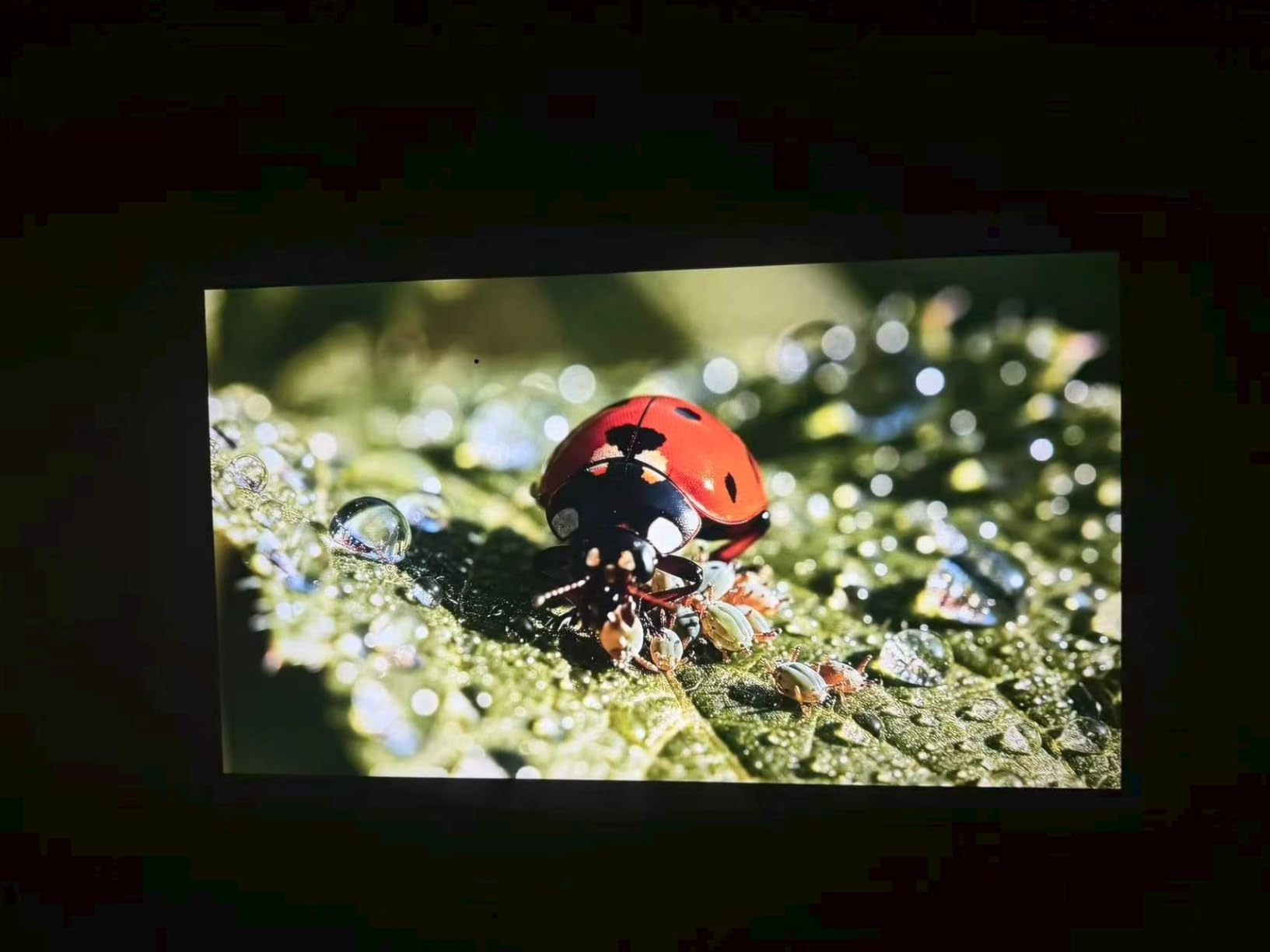1200 ANSI Google TV-Licensed Projector, 4K/8K Input Support, Dual 36W Dolby customer photo 2