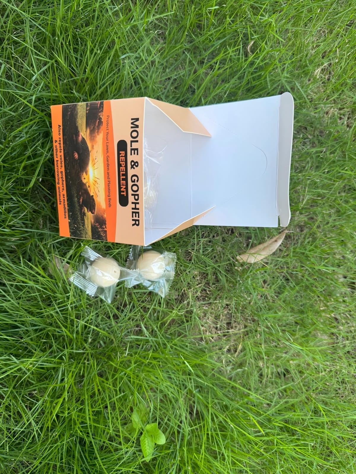 Mole Repellent, Gopher Repellent for Lawn, Groundhog Deterrent-11P customer photo 1