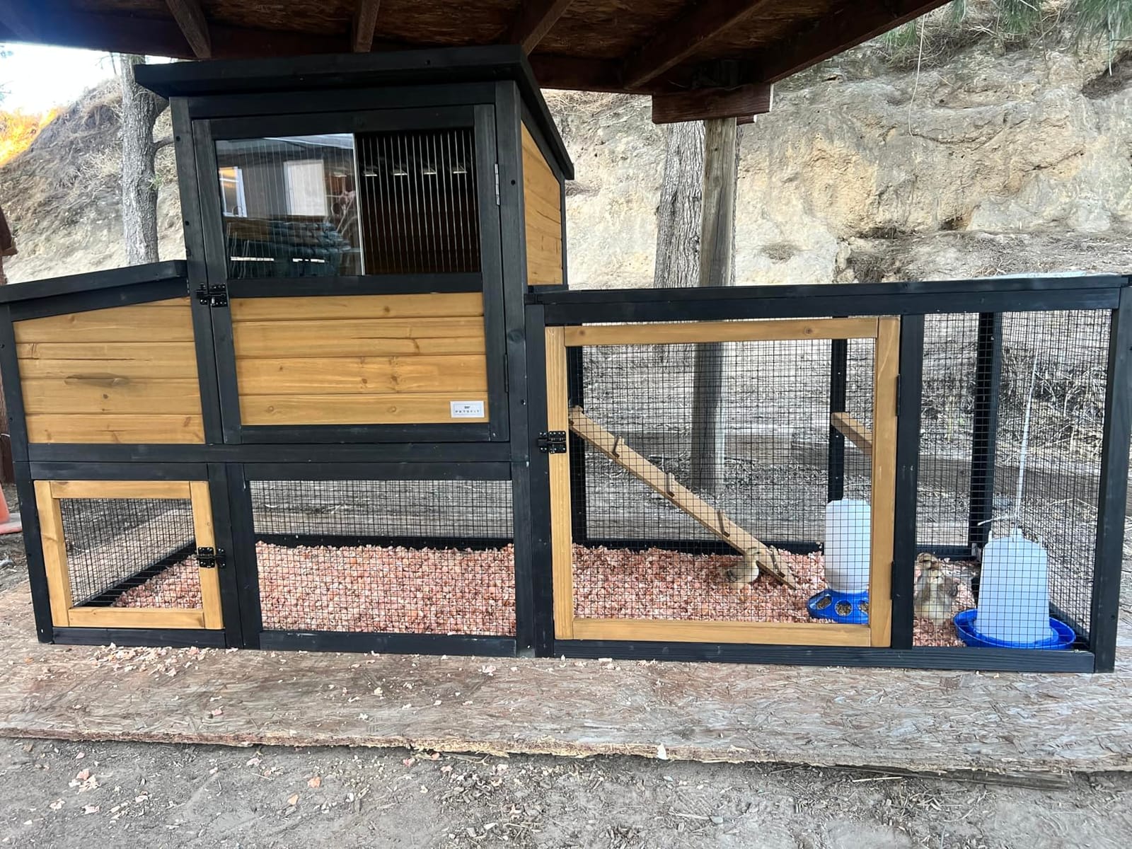 Petsfit Outdoor Chicken Coop with Run for 4-6 Chickens, 3 Nesting Boxes customer photo 1