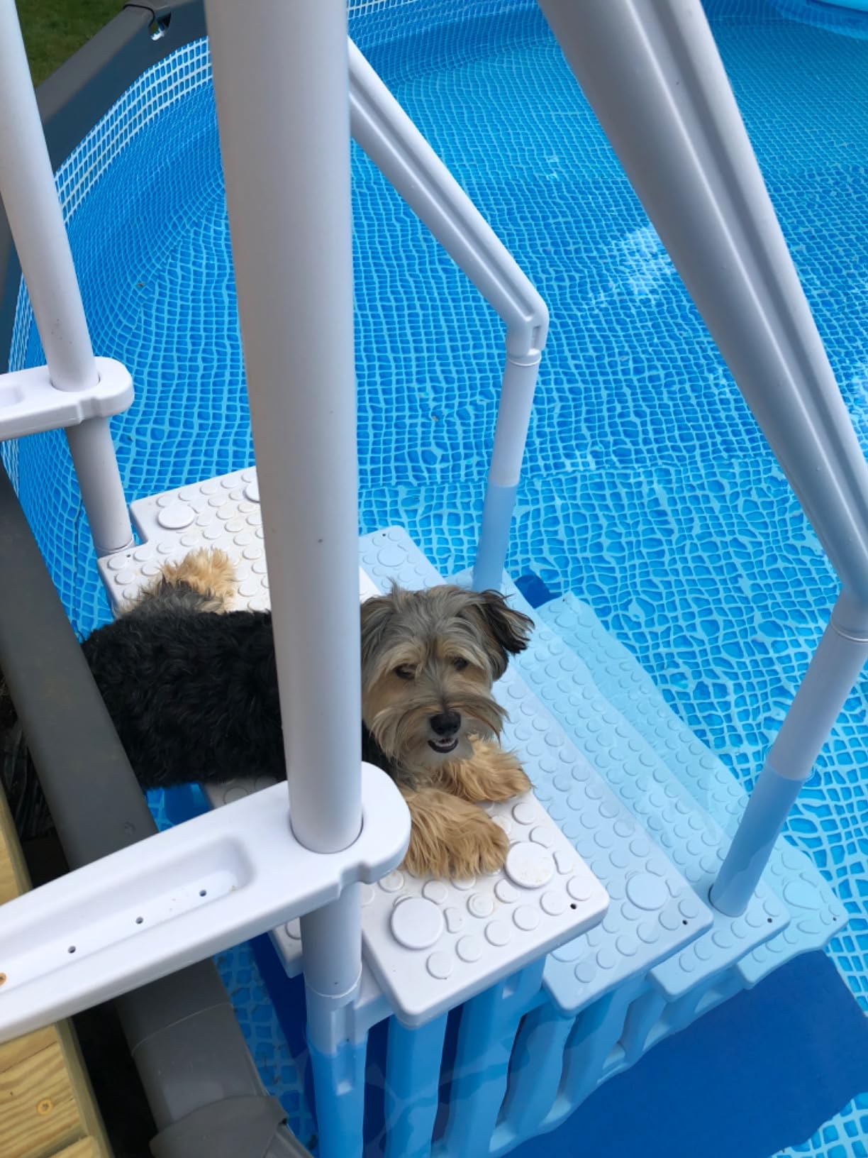 XtremepowerUS Above Ground Swimming Pool Ladder and 4-Step System with Handrails, Heavy-Duty Entry Ladder for Deck to Pool Access, Safety Step Design customer photo 2