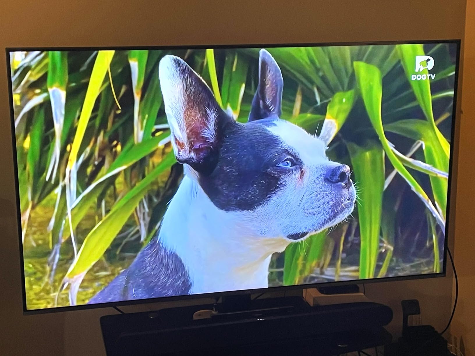 TCL 55-Inch Designer Series QD-Mini LED TV, 4K Google Smart TV, 55A400U customer photo 1