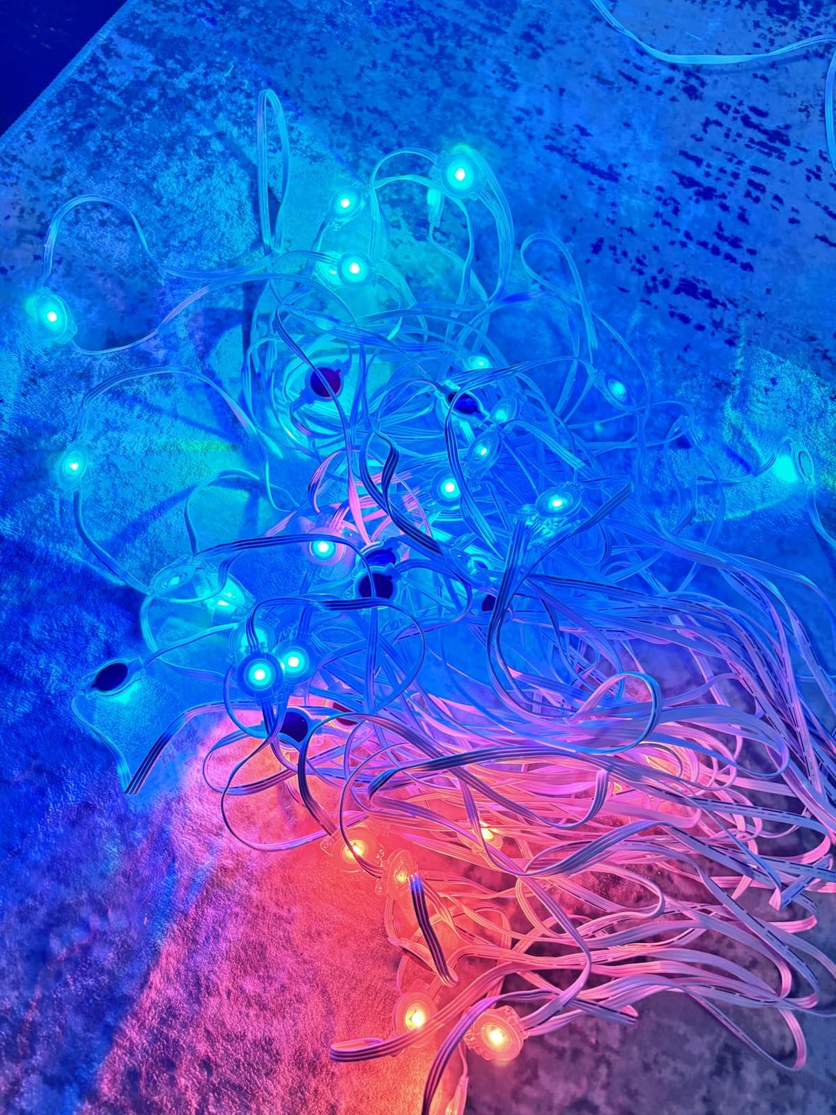 Permanent Outdoor Lights 200ft RGB+IC Outdoor String Lights App & Voice Control, IP67 Waterproof, 100 Scene Modes Decoration for Home Christmas, Halloween, Holiday (100ftx2pack) customer photo 2