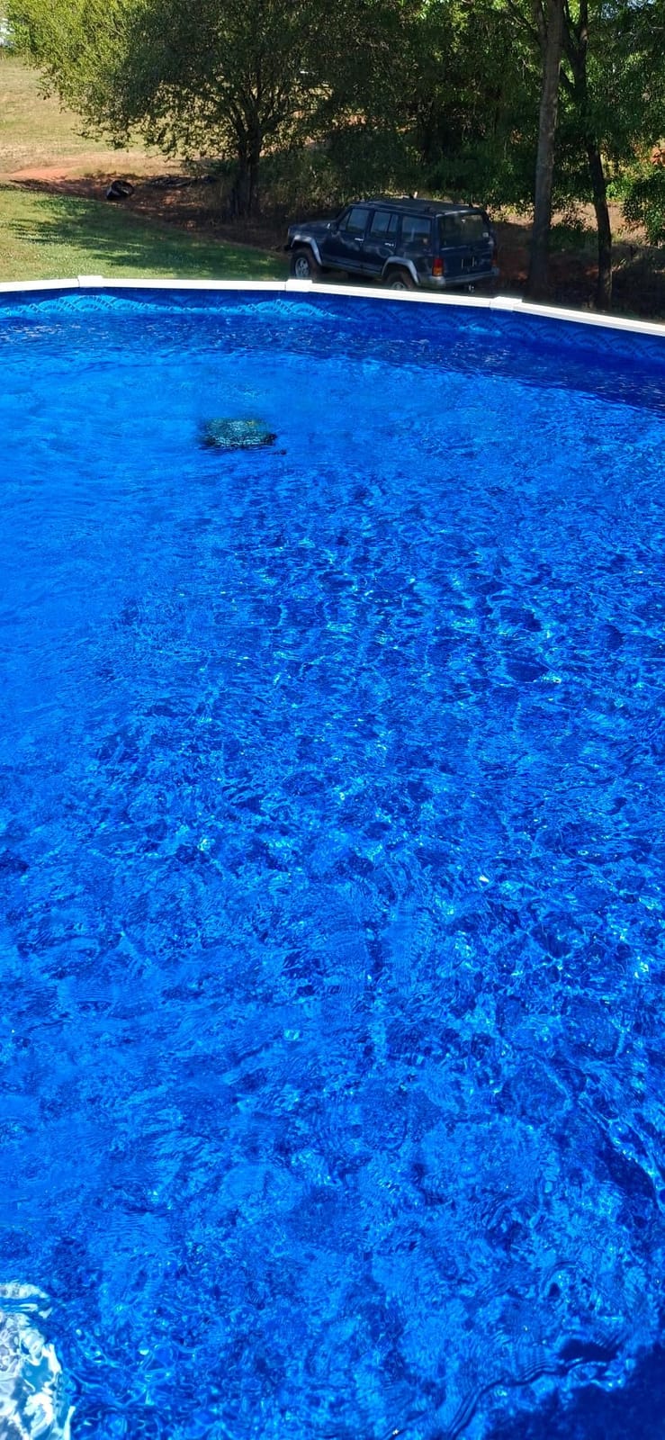 Wybot C2 Cordless Pool Vacuum for Inground Pools, Robotic Pool Cleaner customer photo 2