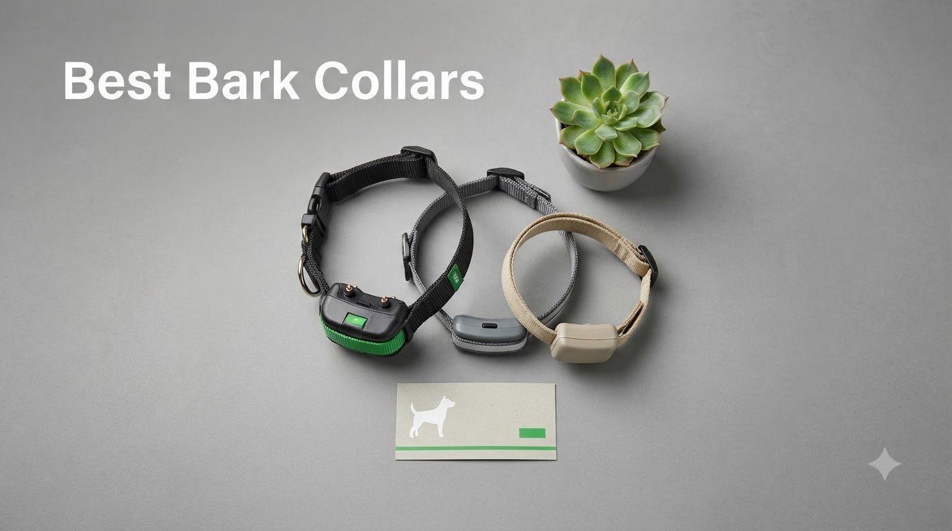 8 Best Bark Collars (September 2026)