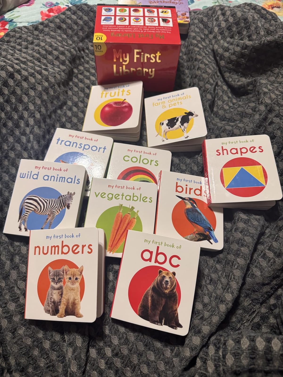 My First Library: Boxset of 10 Board Books for Kids customer photo 1