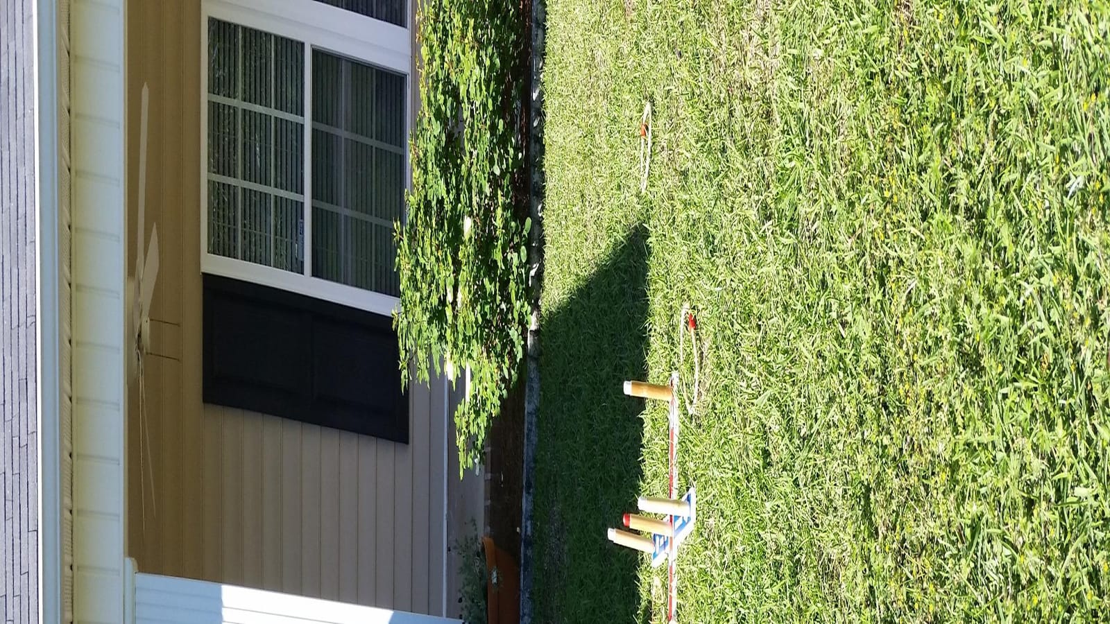 Elite Sportz Ring Toss Games for Kids - Outdoor Yard Game for Adults & Family - Backyard Toys, Outdoor Game, Backyard Games, Lawn Games for Kids Ages 4-8 customer photo 2