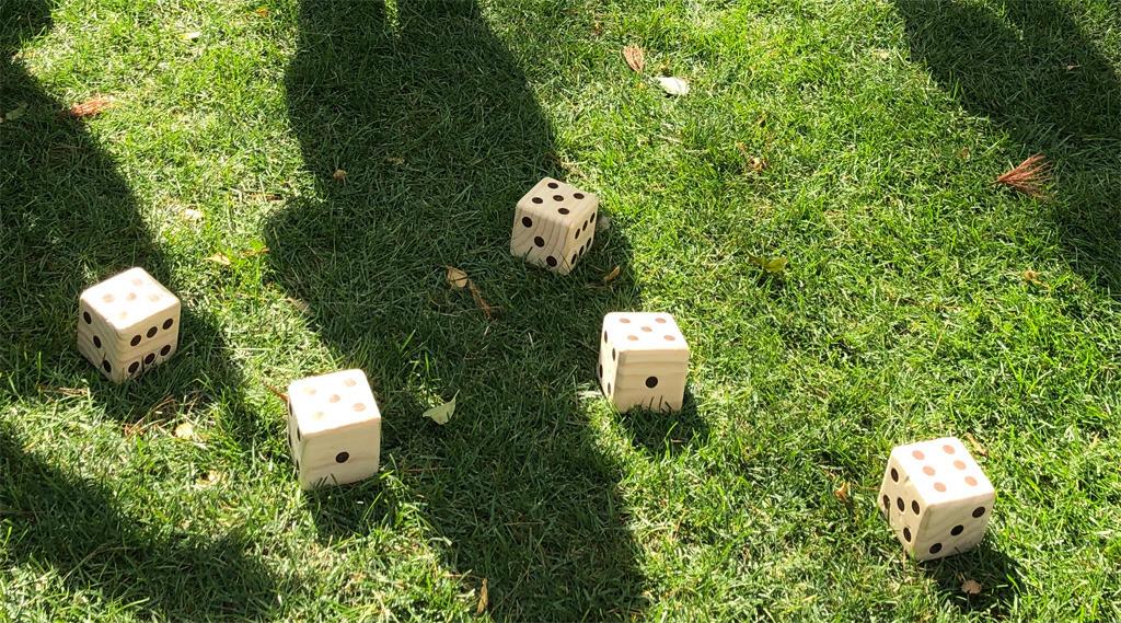 Giant Wooden Yard Dice Set Outdoor Lawn Games for Adults and Family customer photo 2