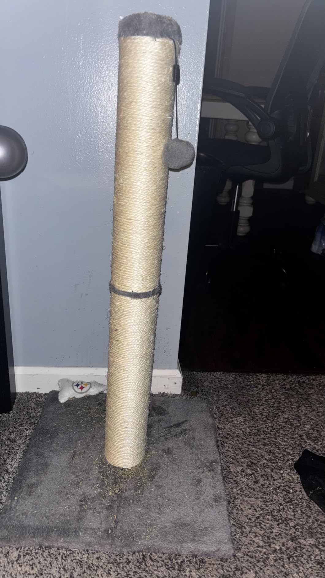 Amazon Basics Cat Scratching Post for Indoor Cats & Kittens, Medium (31.5